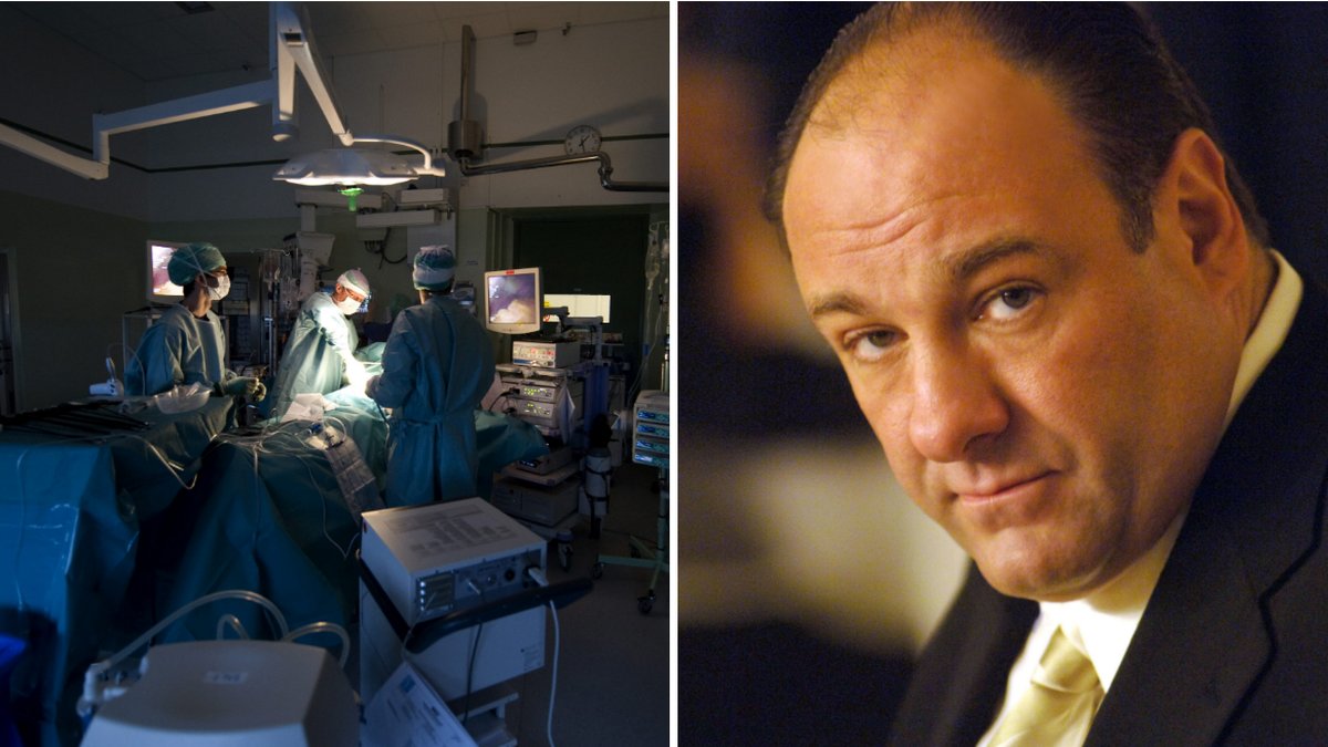 Läkaren hävdar att med hans teknik så kommer man kunna återuppliva döda. Till höger: James Gandolfini som dog av hjärtattack i juni.